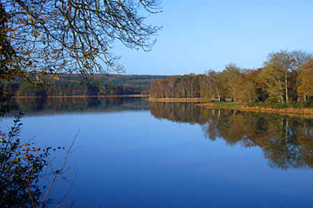Etang de Paimpont