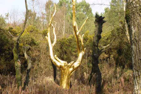 L'arbre d'Or