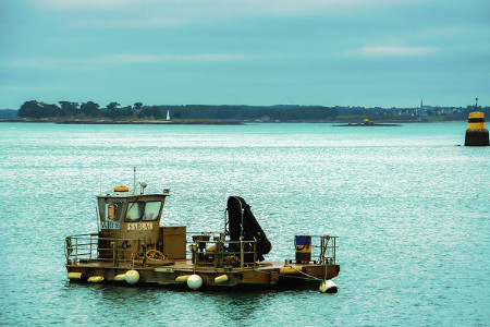 Huitres Golfe du Morbihan