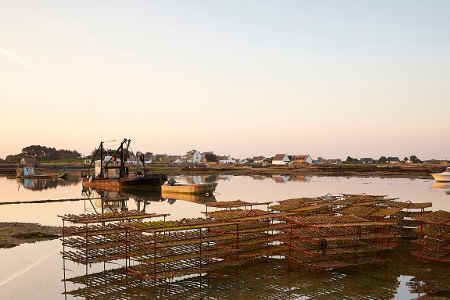 Huitres Carnac
