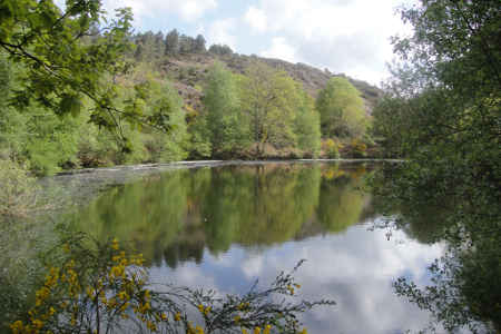 Brocéliandes, le miroir aux fées