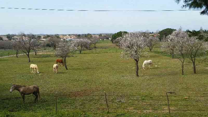 location vacances gite&nbsp; Hérault