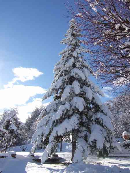 location vacances gite&nbsp; Alpes-maritimes