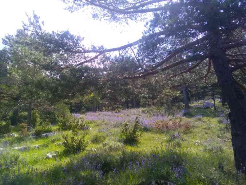location vacances gite&nbsp; Alpes-maritimes