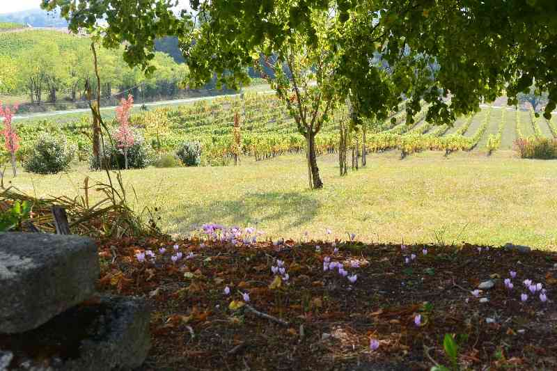 location vacances gite&nbsp; Dordogne