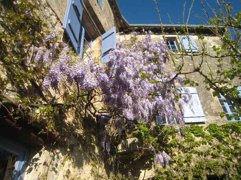 location vacances chambre d hote&nbsp; Tarn