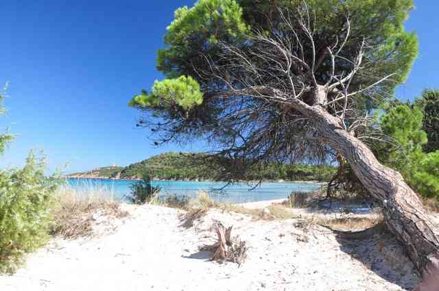 location vacances appartement&nbsp; Corse-du-sud