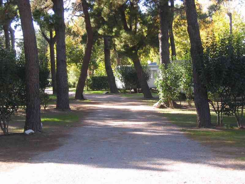 location vacances mobil home&nbsp; Pyrénées-orientales