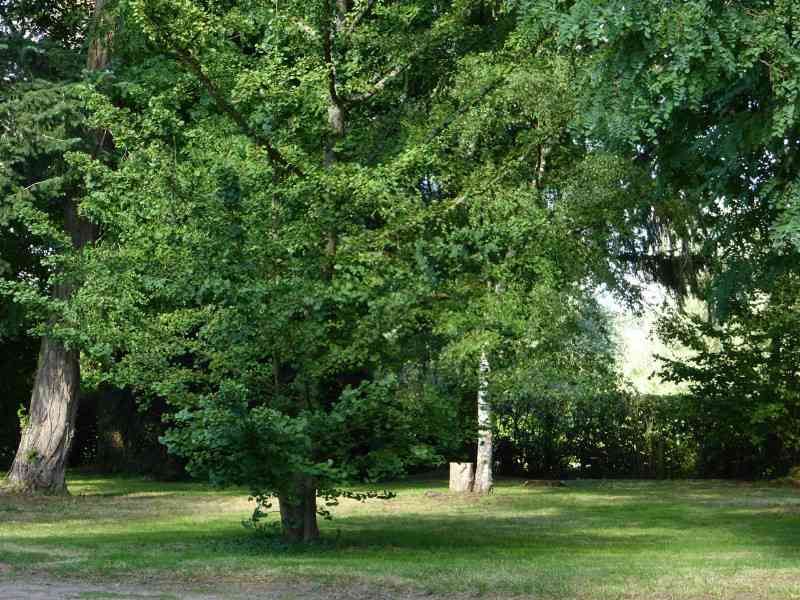 location vacances maison-villa&nbsp; Saône-et-loire