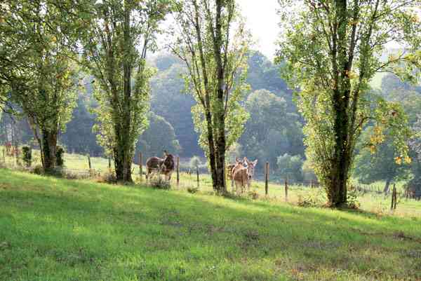 location vacances gite&nbsp; Loir-et-cher