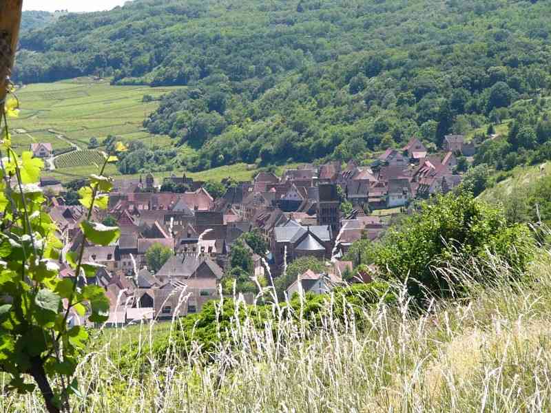 location vacances gite&nbsp; Haut-rhin
