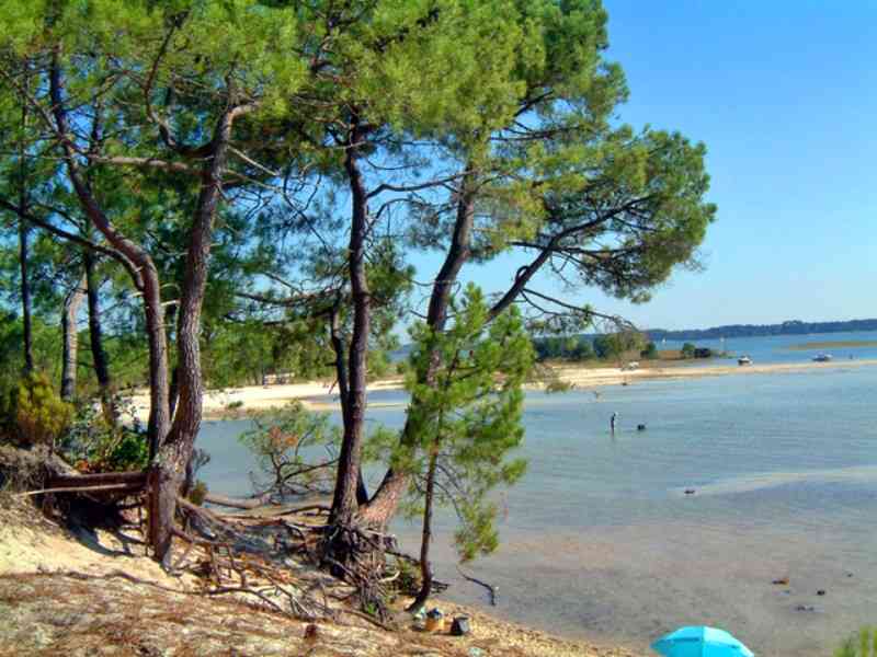 location vacances mobil home&nbsp; Landes