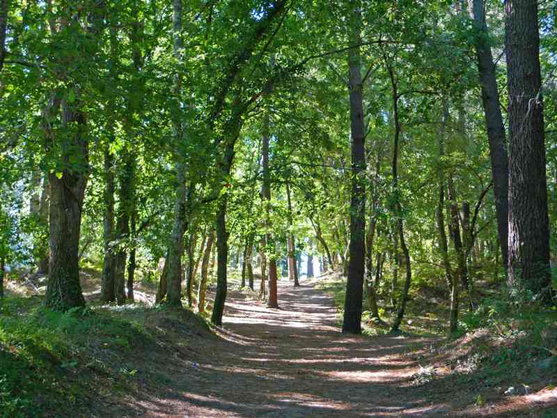 location vacances mobil home&nbsp; Landes