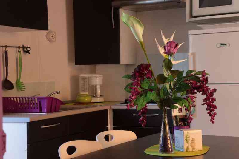 location vacances mobil home&nbsp; Pyrénées-orientales