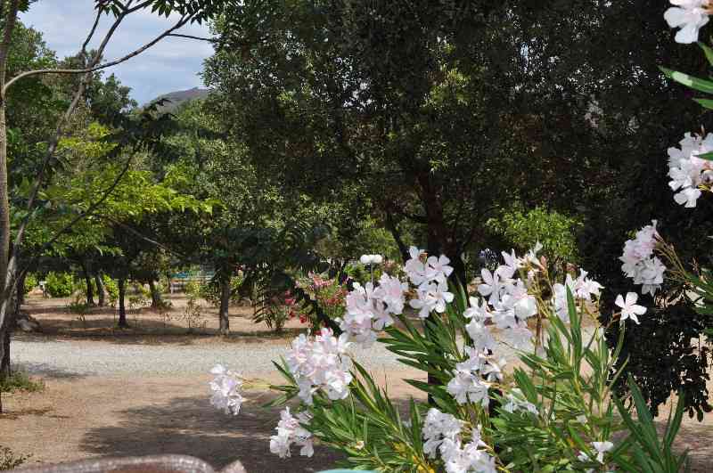 location vacances maison-villa&nbsp; Haute-corse