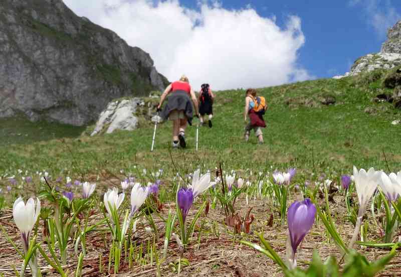 location vacances mobil home&nbsp; Haute-savoie