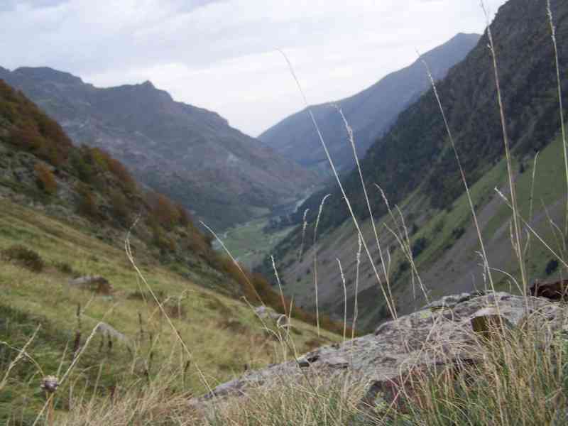 location vacances chalet&nbsp; Hautes-pyrénées