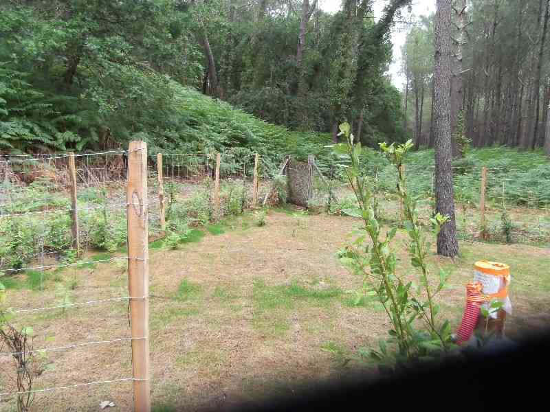 location vacances mobil home&nbsp; Landes