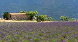 location vacances maison-villa&nbsp; Alpes-de-haute-provence