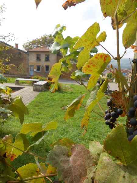 location vacances gite&nbsp; Luxembourg