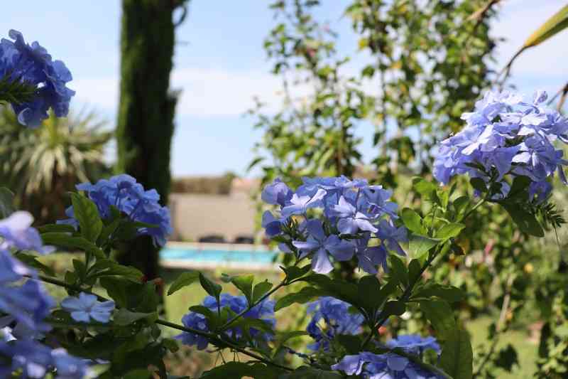location vacances maison-villa&nbsp; Hérault