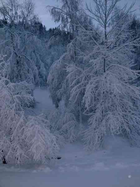 location vacances gite&nbsp; Vosges