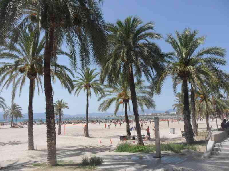 location vacances appartement&nbsp; Balearic islands