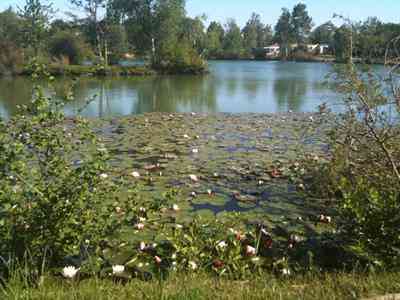 location vacances mobil home&nbsp; Charente-maritime