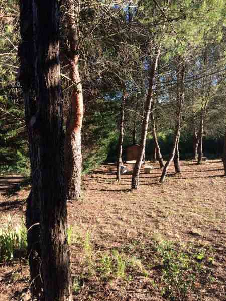 location vacances gite&nbsp; Vaucluse