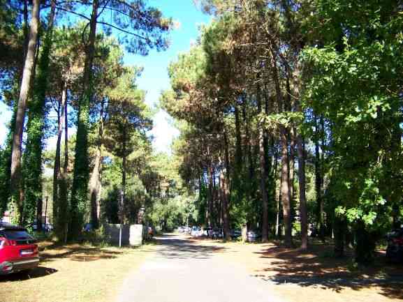 location vacances maison-villa&nbsp; Landes