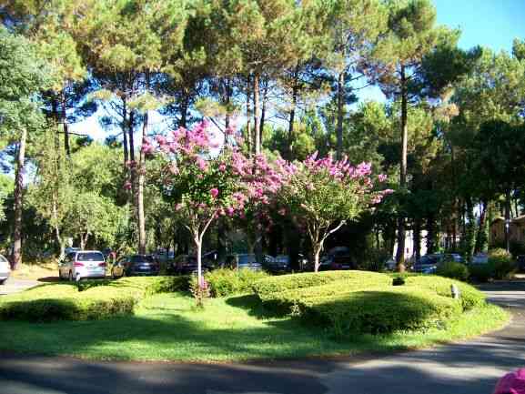 location vacances maison-villa&nbsp; Landes