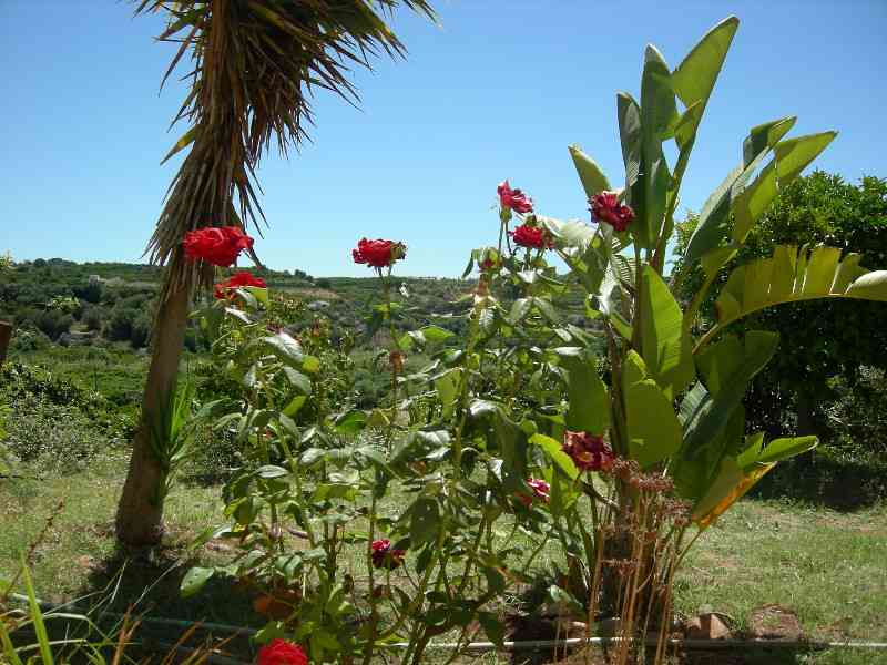 location vacances maison-villa&nbsp; Ardennes