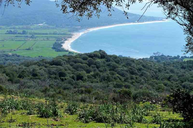 location vacances appartement&nbsp; Corse-du-sud