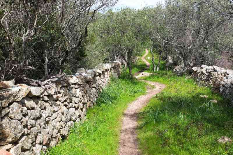 location vacances appartement&nbsp; Corse-du-sud