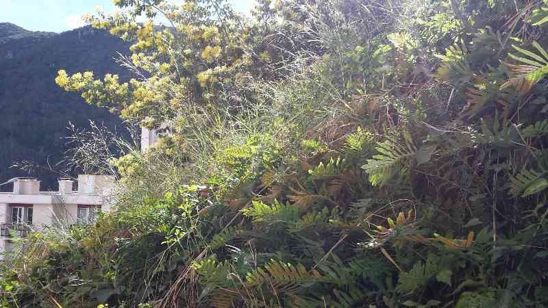 location vacances appartement&nbsp; Pyrénées-orientales