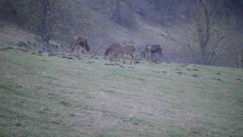 location vacances maison-villa&nbsp; Cantal