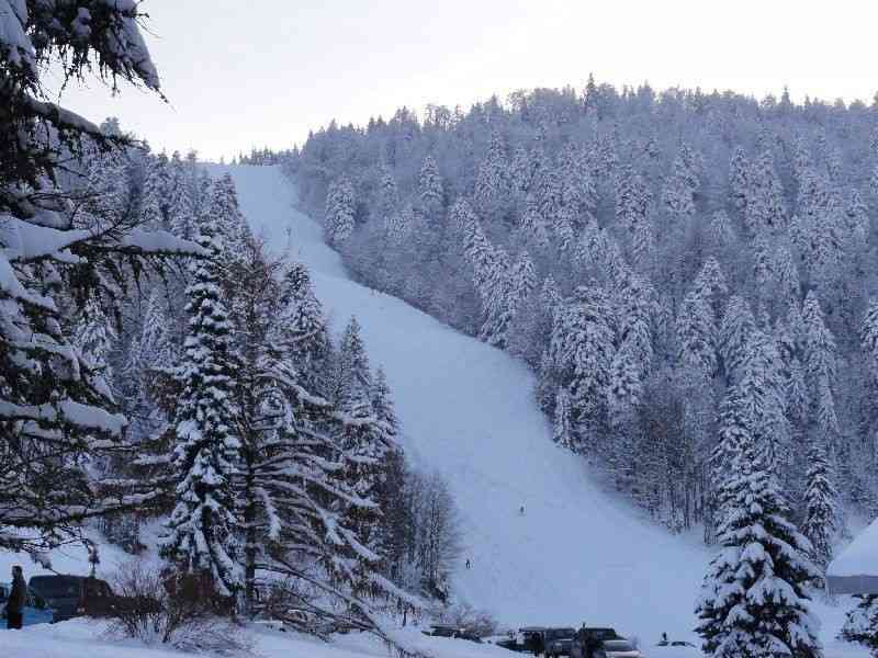 location vacances chalet&nbsp; Vosges