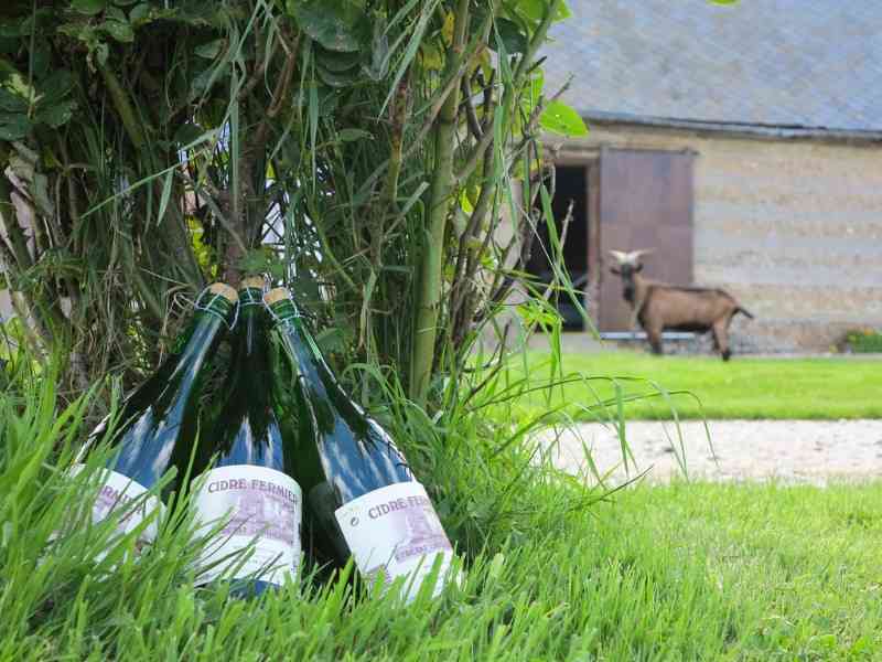 location vacances gite&nbsp; Seine-maritime