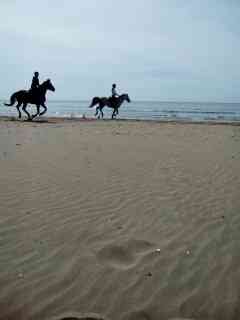 location vacances mobil home&nbsp; Loire-atlantique