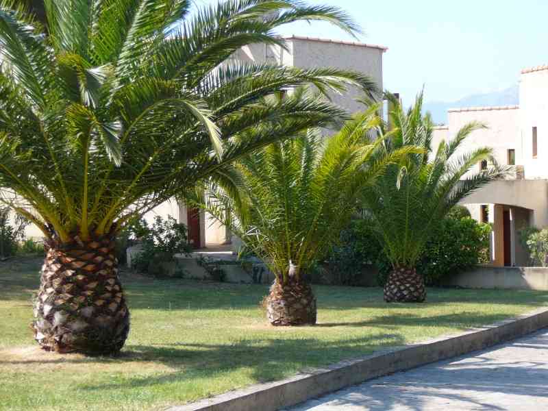 location vacances appartement&nbsp; Haute-corse
