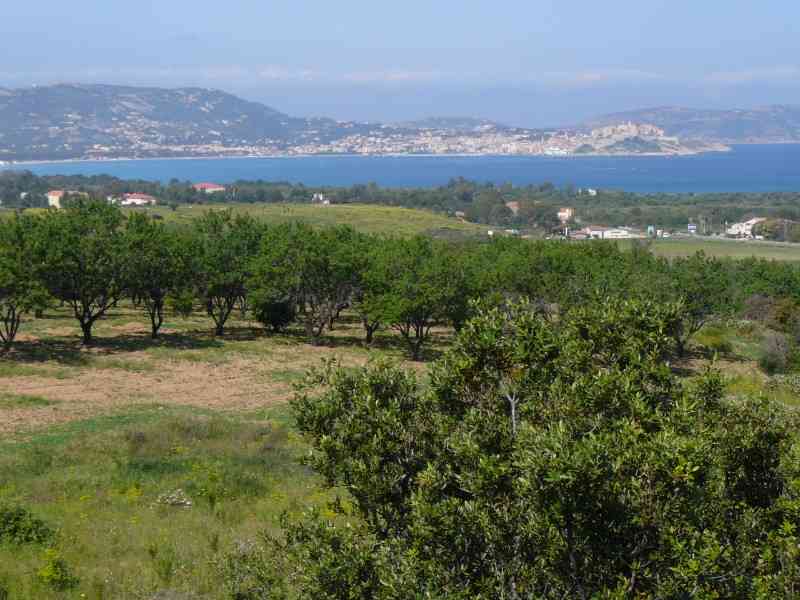 location vacances appartement&nbsp; Haute-corse