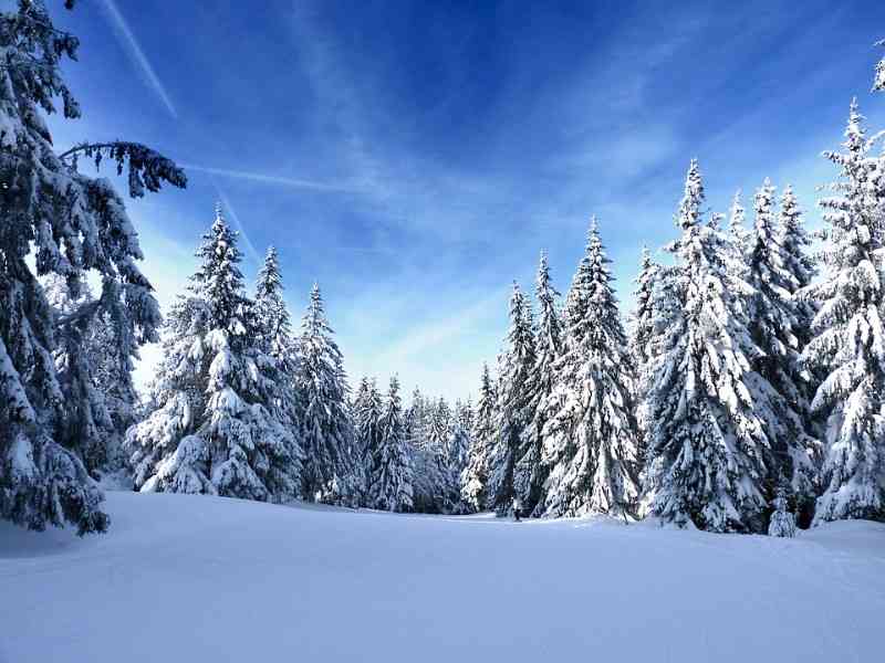 location vacances appartement&nbsp; Vosges
