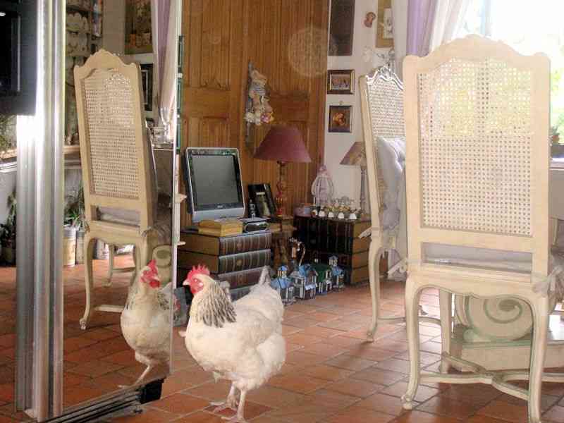 location vacances chambre d hote&nbsp; Calvados