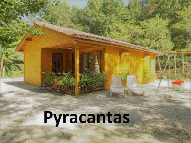 location vacances chalet&nbsp; Dordogne