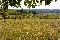 location vacances gite&nbsp; Dordogne