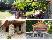 location vacances maison-villa&nbsp; Provincia di pesaro e urbino