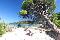 location vacances appartement&nbsp; Corse-du-sud