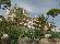 location vacances appartement&nbsp; Girona