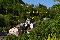 location vacances gite&nbsp; Vosges
