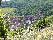 location vacances gite&nbsp; Haut-rhin